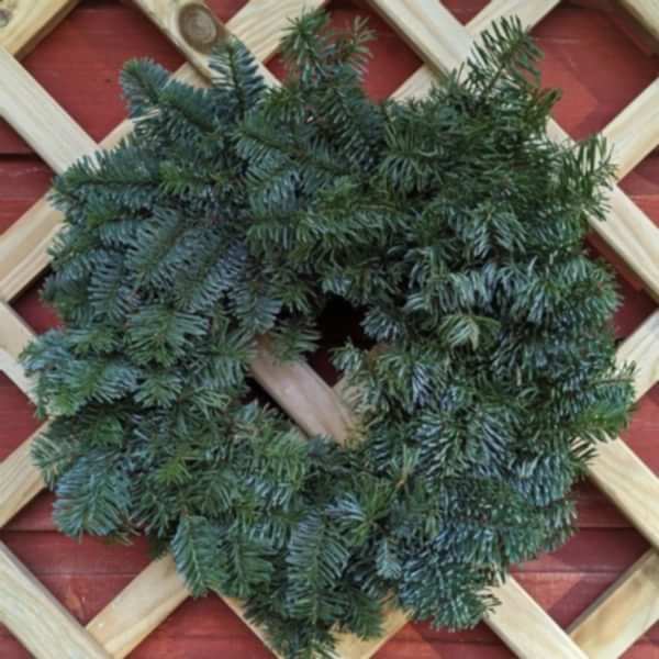 Christmas wreaths - the secret garden centre -South London