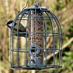 Bird care feeders