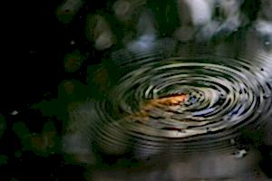 Perennials for ponds