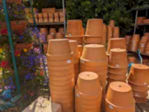 Standard Terracotta pots