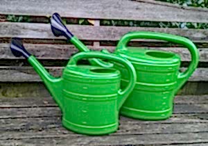 Hoses & watering cans