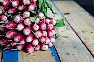 Potatoes for summer planting