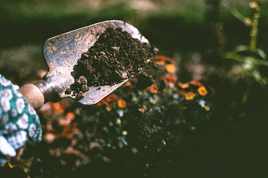 Local Gardeners